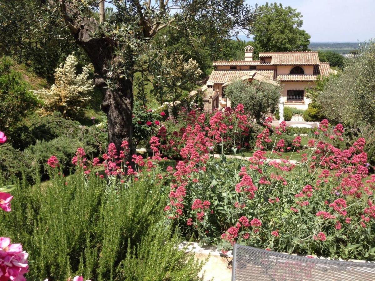Olivella Campagnano Di Roma Exterior foto
